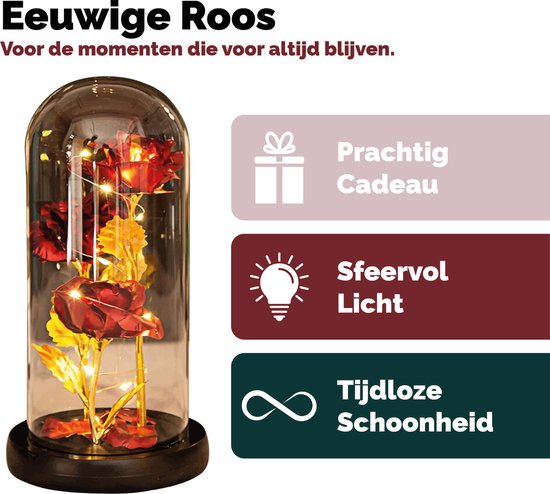 Bewaarde roos met ik hou van je ketting Cadeau voor moeder