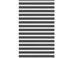 vidaXL - Zebra - rolgordijn - 145x230 - cm - stofbreedte - 140,9 - cm - zwart