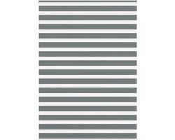 vidaXL - Zebra - rolgordijn - 155x230 - cm - stofbreedte - 150,9 - cm - donkergrijs