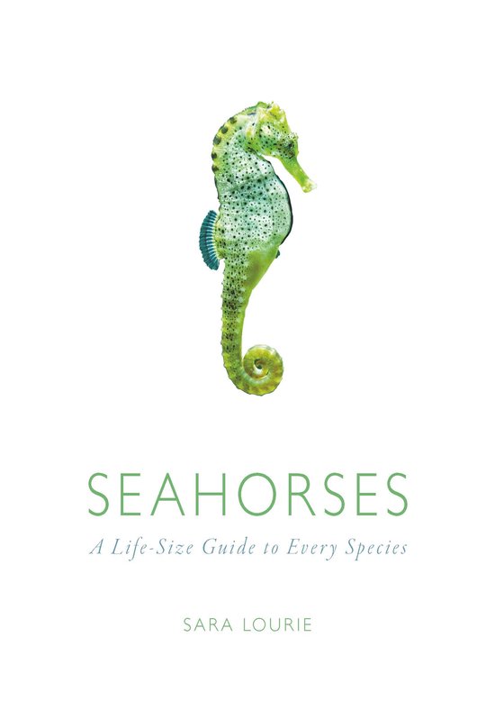 Seahorses - cover