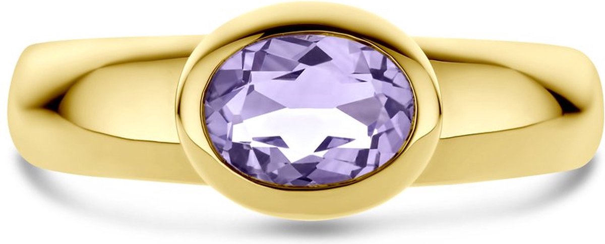 14K Geelgoud Ring Amethist 4030164