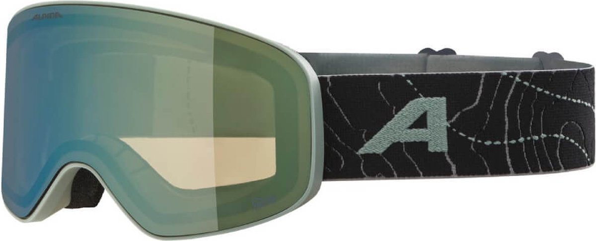 Alpina Fernie Q-Lite Junior Skibril 2025 | Groen | Categorie 2