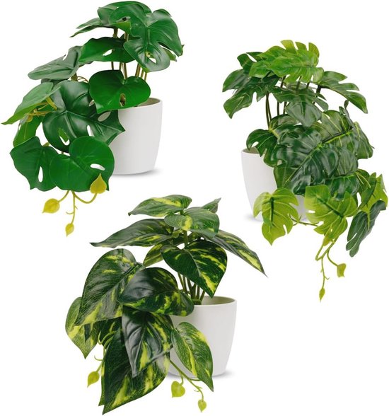 Valse planten - uitgebreide collectie kunstplanten voor een groen Valse planten - uitgebreide collectie kunstplanten voor een groen