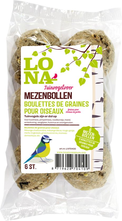 Bol Alimentaire Pour Reptiles à Ventouse - Avec Rampe D'escalade - Deux Tailles, Fixation Stable - Pour Terrarium, Lézards, Geckos, Grenouilles