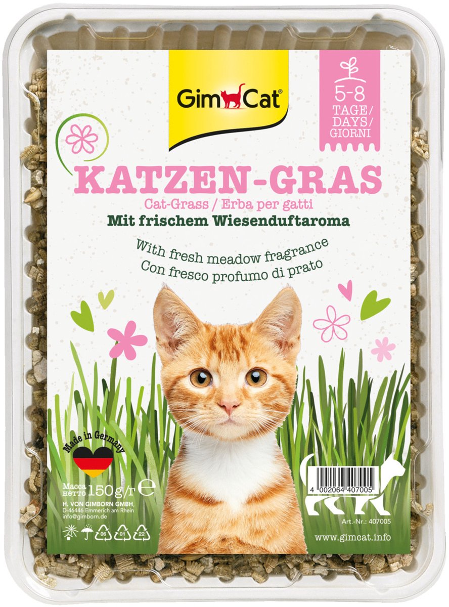 Gimpet Kattengras - Kattenkruid - 150 g