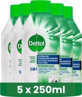 Dettol Nettoyant pour machine à laver Hygiène - 250 ml - 5 pièces - Pack économique