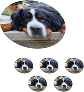 Onderzetters voor glazen - Rond - Schaduwrijke Bernese Sennenhond - 10x10 cm - Glasonderzetters - 6 stuks