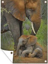 Tuin decoratie Olifant - Kalf - Zuid-Afrika - 30x40 cm - Tuindoek - Buitenposter