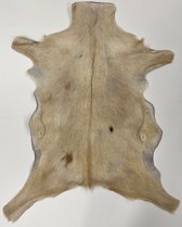 Geitenhuid 526 -  By Max - Beige - 80x65 - Echt leer
