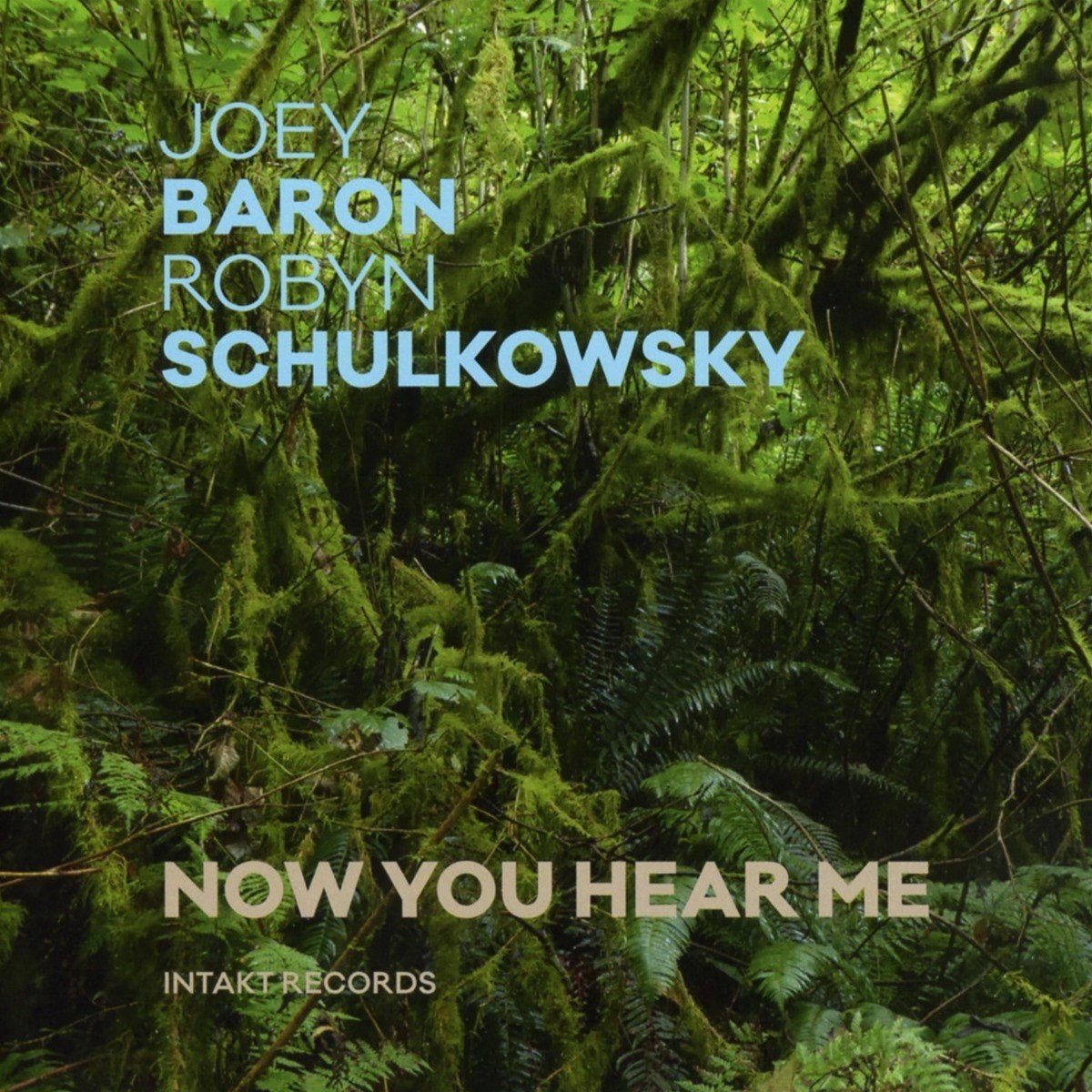 Joey Baron & Robyn Schulkowsky - Now You Hear Me (CD)