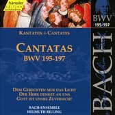 Bach-Ensemble, Helmuth Rilling - J.S. Bach: Cantatas Bwv 195-197 (CD)