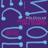 James Brandon Lewis, Chad Taylor & Aruán Ortiz - Molecular (CD)