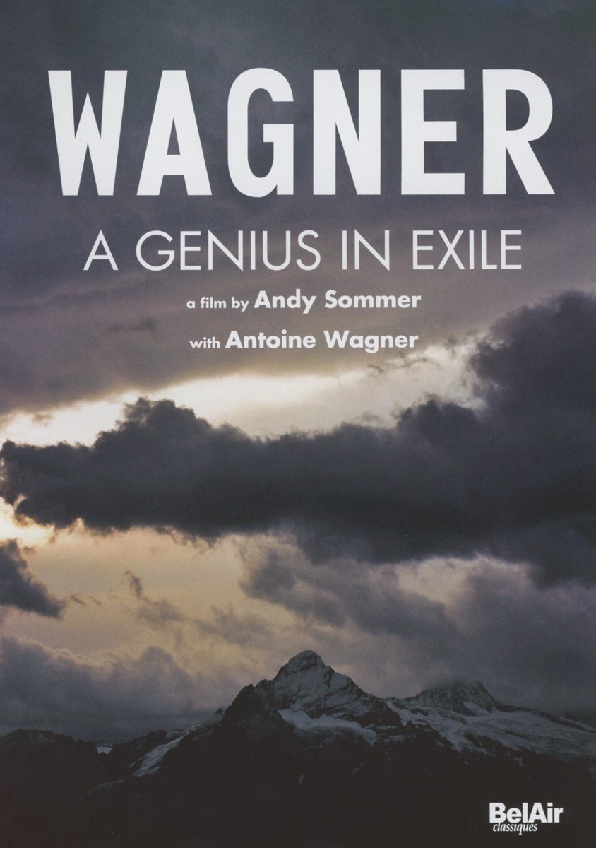 Andy Sommer - A Genius In Exile (DVD)