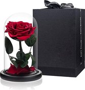 Geconserveerde Roos in Glas - ECHTE ROOS - Gift - Giftbox - Valentijn - Cadeau - Kado - Bruiloft - Liefde - Vriendin - Love - Rose - Rood - Valentine - Moederdag - Vaderdag - Huwelijk - Aanzo