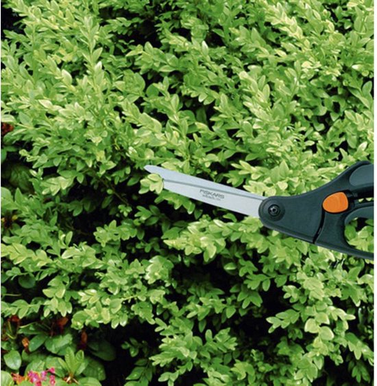 Fiskars Buxus Snoeischaar - S50 - 26 cm van Merkloos	 — afbeelding 4