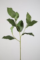 Kunsttak - limoenblad - topkwaliteit decoratie - 2 stuks - zijden bladeren - Groen - 60 cm hoog