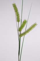 Kunsttak- Carex - zegge - topkwaliteit decoratie - 2 stuks - zijden tak - Groen - 132 cm hoog