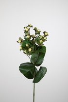 Kunsttak - Hyperium - bessen - topkwaliteit decoratie - 2 stuks - zijden tak - Groen - 70 cm hoog