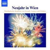 Various Artists - Neujahr In Wien (CD)
