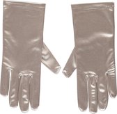Satijnen handschoen | Gala handschoenen | 20 cm | Zilver | One size | Charleston | Lange handschoenen verkleed | Charleston accessoires | Apollo | Carnaval