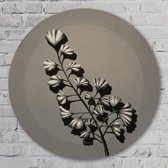 3D muurcirkel - Ecru - 60 cm Aluminium Muurcirkel - Bloemen en Planten - Wanddecoratie - Rond Schilderij - Wandcirkel
