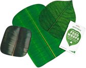 Suck Uk Wraps Leaf Katoen/bijenwas/boomhars Groen 3 Stuks