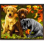 Eagle® Diamond Painting Volwassenen - Prachtige Honden - 50x40cm - Vierkante Steentjes