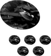 Onderzetters voor glazen - Rond - Kolibrie tussen de paarse bloemen en vlinders - zwart wit - 10x10 cm - Glasonderzetters - 6 stuks