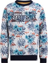 WE Fashion Jongens sweater met dessin