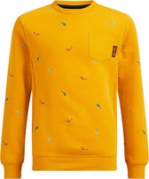 WE Fashion Jongens sweater met dessin