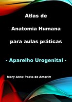 Atlas De Anatomia Humana Para Aulas Práticas - Aparelho Urogenital