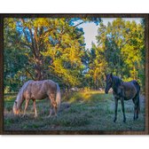 Eagle® Diamond Painting Volwassenen - Prachtige Paarden - 50x40cm - Vierkante Steentjes