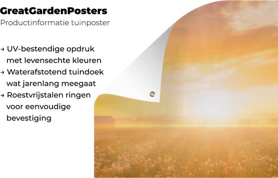 Affiche de clôture Coucher de soleil - Fleurs - Couleurs - 100x200 cm - Toile de jardin