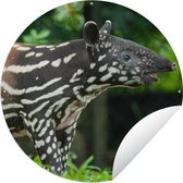 Tuincirkel Jonge tapir in de jungle - 120x120 cm - Ronde Tuinposter - Buiten XXL / Groot formaat!