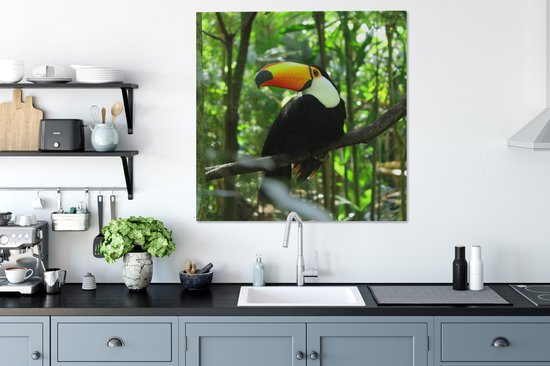 Tableau sur toile Toucan dans un arbre - 90x90 cm - Décoration murale