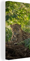 Tableau sur toile Jaguar dans la jungle - 40x80 cm - Décoration murale