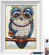 Artstudioclub® Strass steentjes Diamond painting volwassenen  30x40cm  Uil op een tak