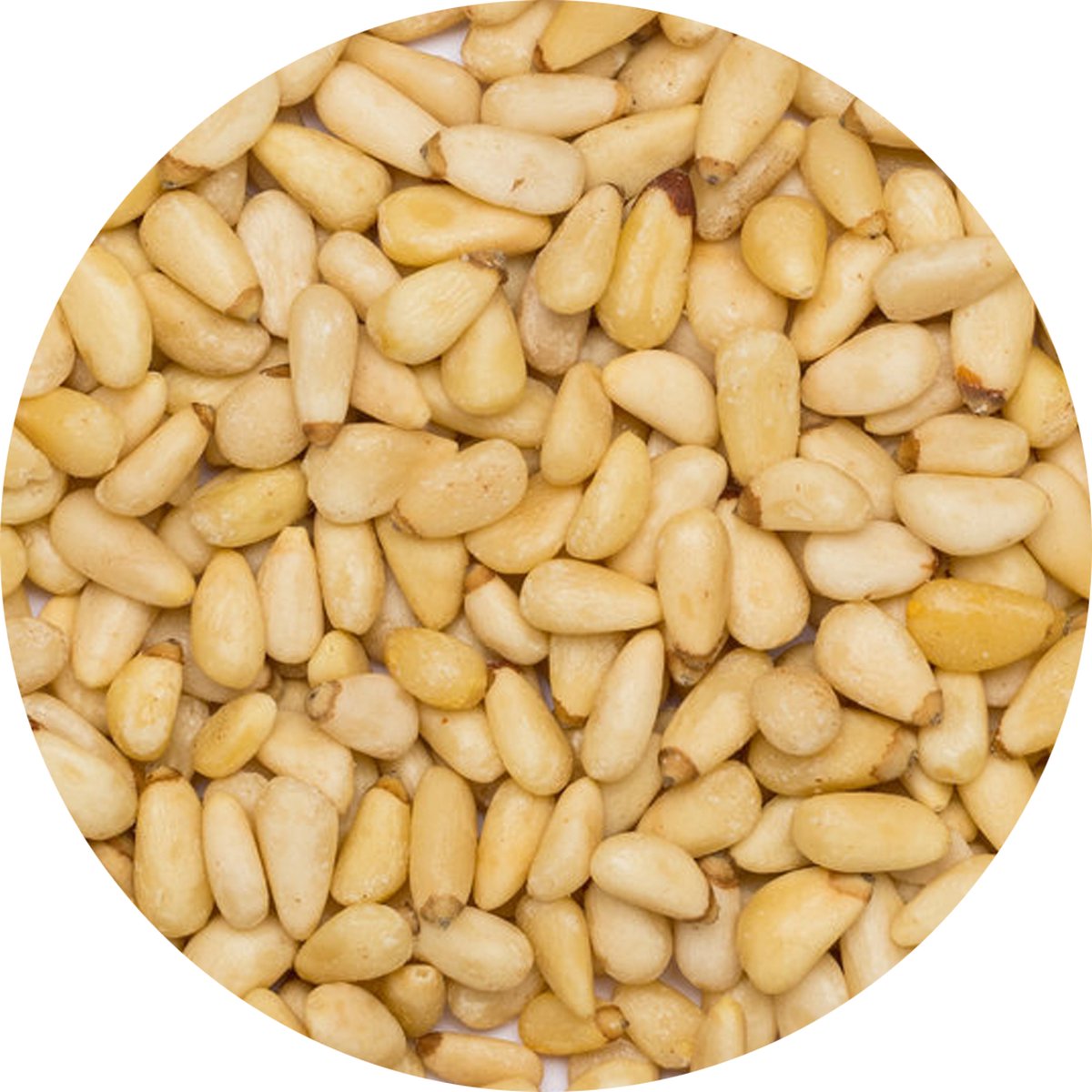 Goedkoopste Pijnboompitten heel - 1 Kg - Holyflavours