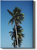 Walljar - Palm Paradijs - Muurdecoratie - Canvas schilderij