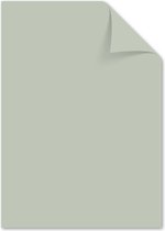 Kangaro papier - A4 - 160 gram FSC -  pak 50 vel - pastel grijs - K-0039P006