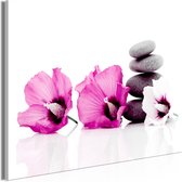 Schilderij - Calm Mallow (1 Part) Wide Pink.