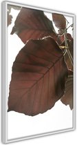 Burgundy Tilia Leaf