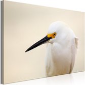 Schilderij - Snowy Egret (1 Part) Wide.
