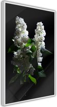 White Lilac.