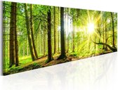 Schilderij - Majestic Trees.