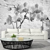 Fotobehang - Orchid in Shades of Gray.