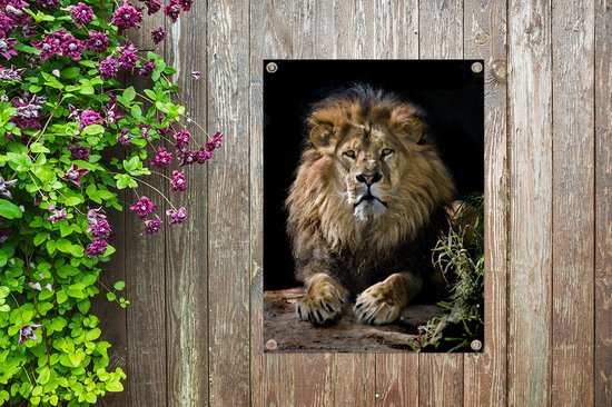 Décoration de Jardin Lions - Chasse - Portrait - 30x40 cm - Toile de jardin