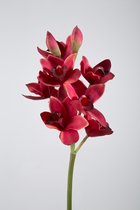Orchidee Cymbidium - set van 2 zijden bloem - donker rood - topkwaliteit - 62cm