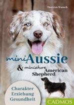 Hunderassen - Mini Aussie und Miniature American Shepherd