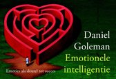 Emotionele Intelligentie Dwarsligger